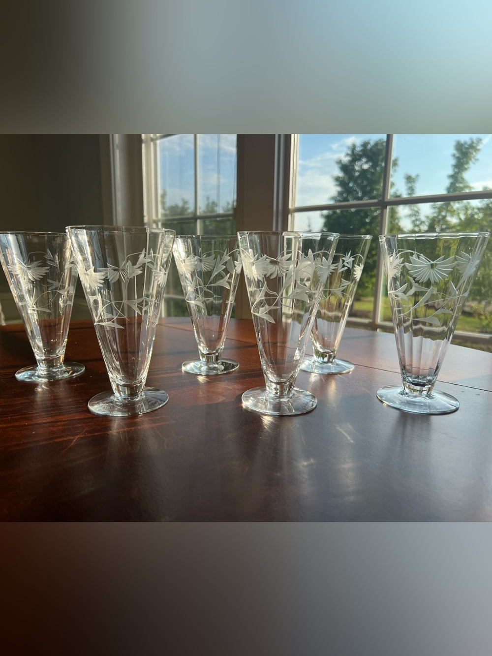 Vintage Atomic MCM Mid Century Modern Etched Glass Floral Pilsner Set of 6